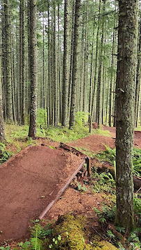 Must Watch Video