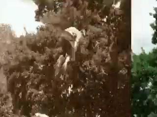 Must Watch Video
