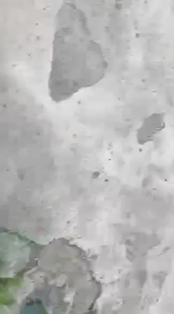Must Watch Video