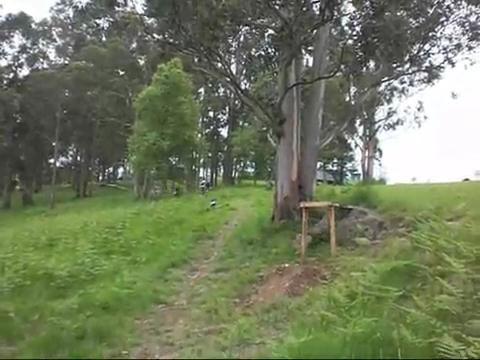 Must Watch Video