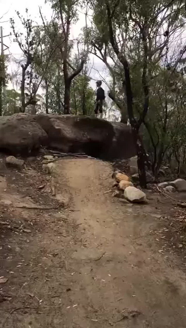 Must Watch Video