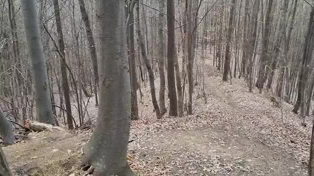 Must Watch Video