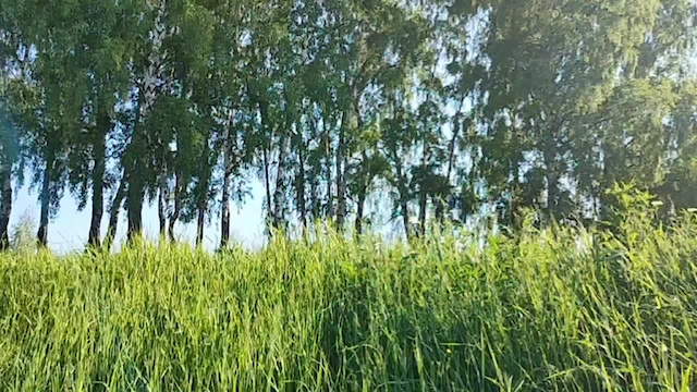 Must Watch Video