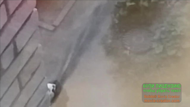 Must Watch Video