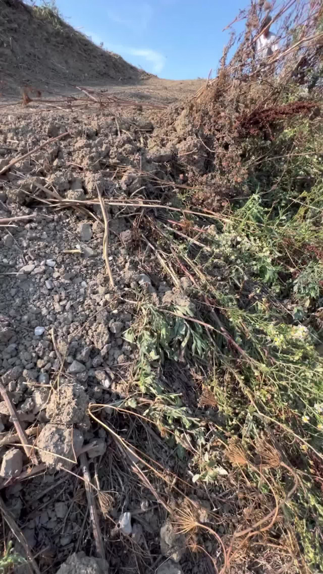 Must Watch Video