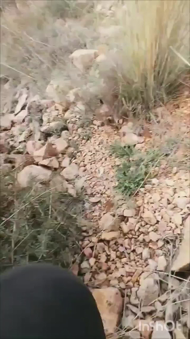 Must Watch Video