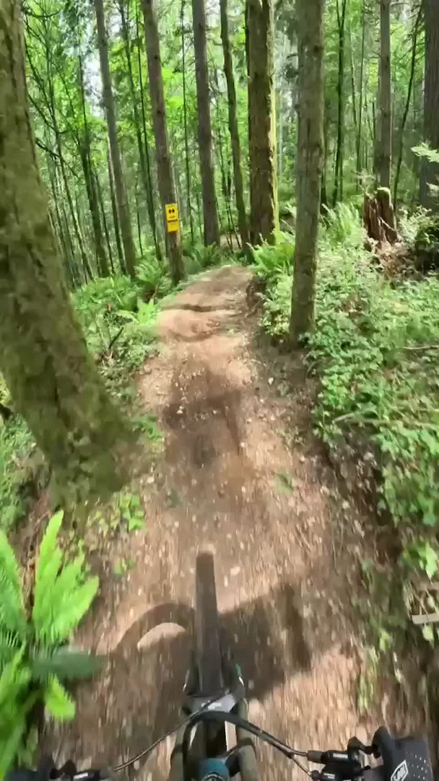 Must Watch Video