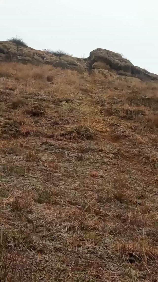 Must Watch Video