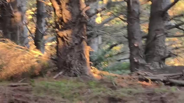 Must Watch Video