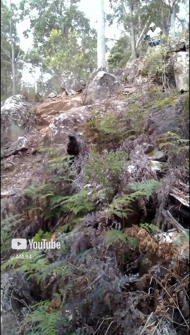 Must Watch Video