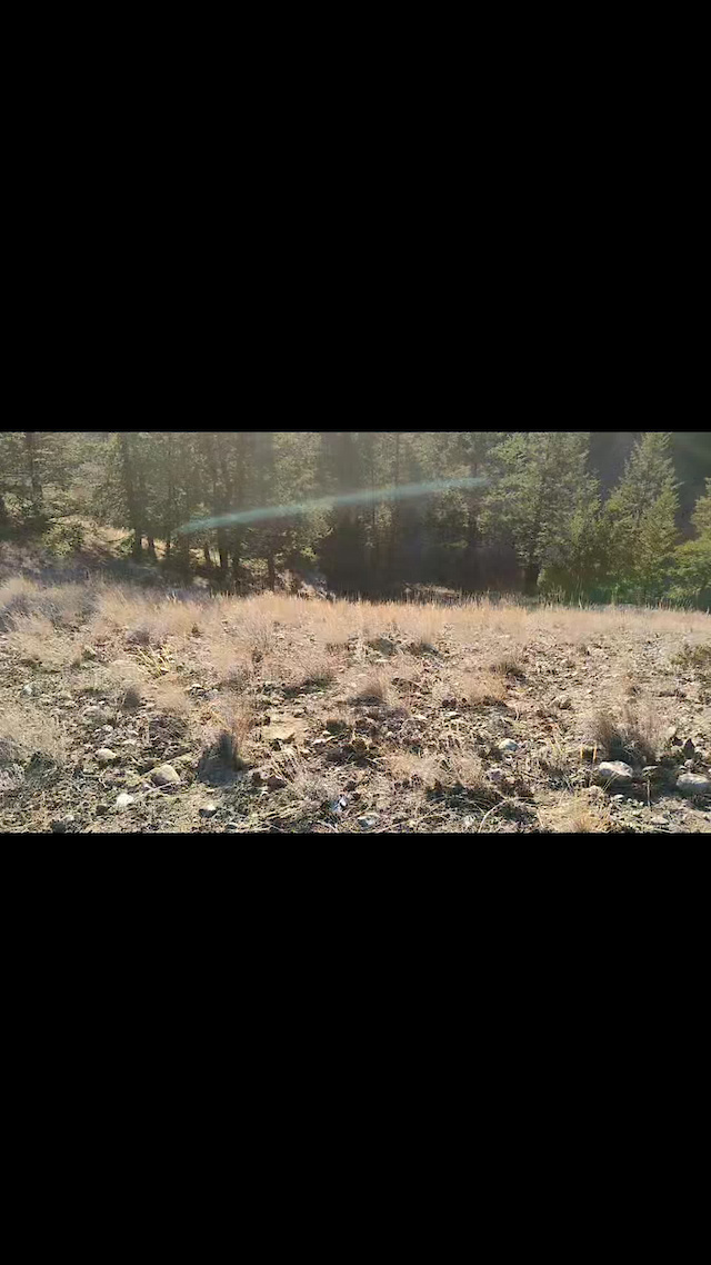 Must Watch Video