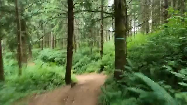 Must Watch Video