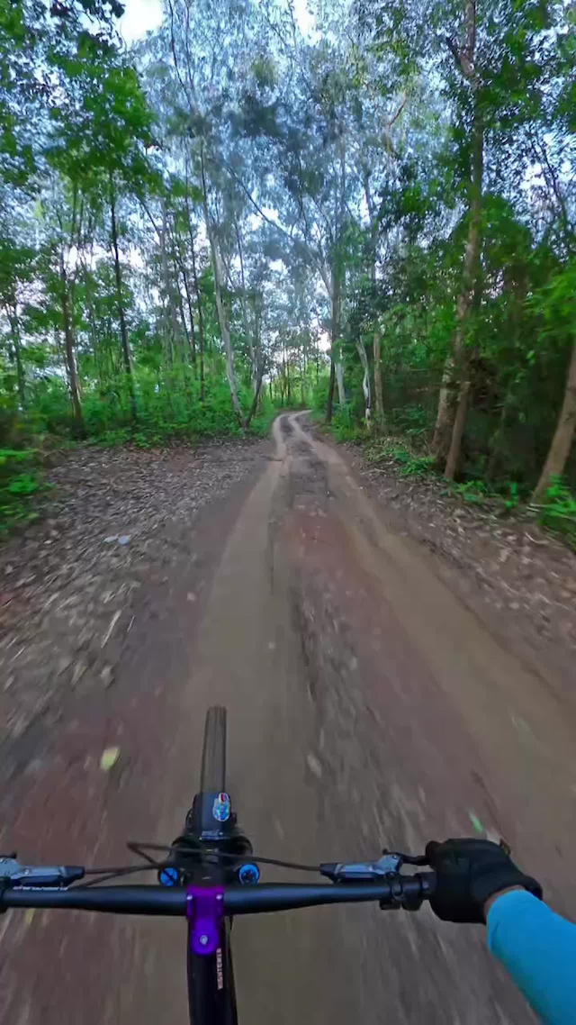 Must Watch Video