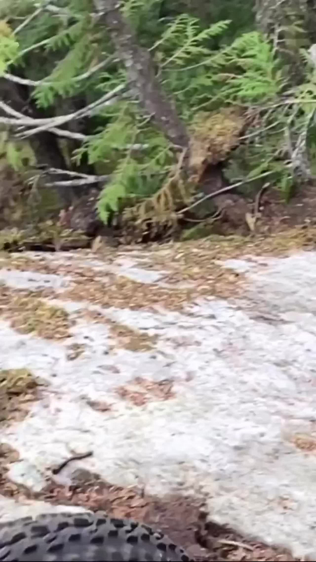Must Watch Video