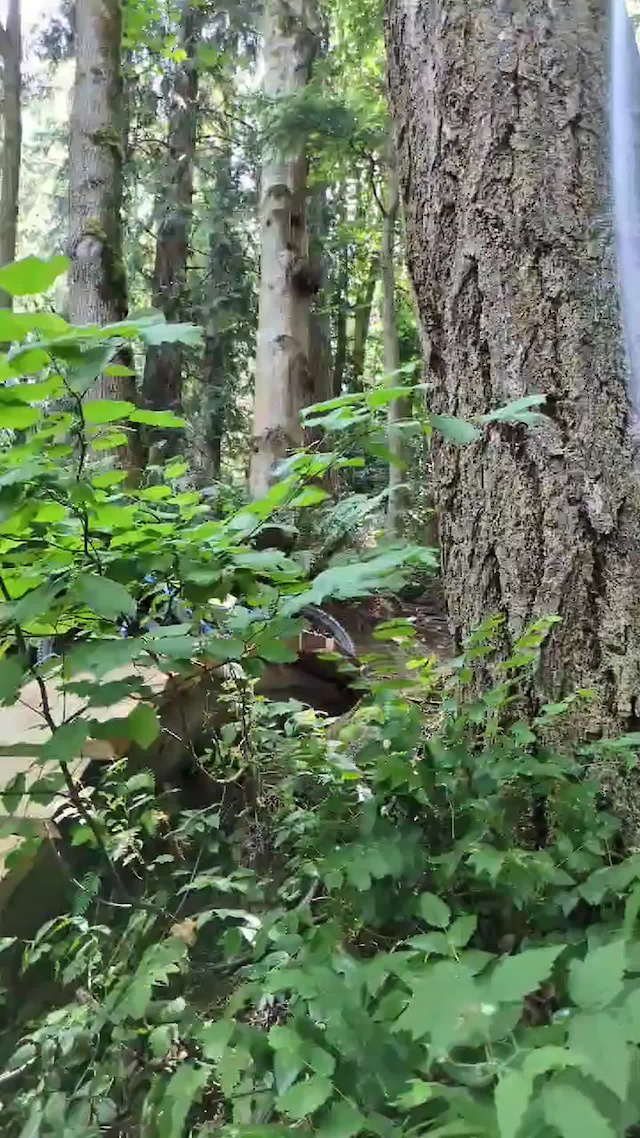 Must Watch Video
