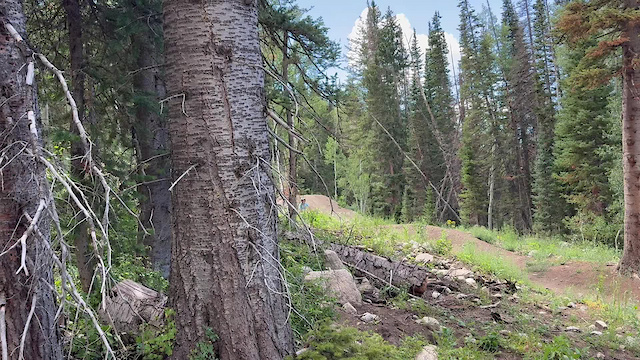 Must Watch Video