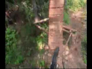 Must Watch Video