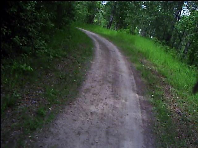 Must Watch Video