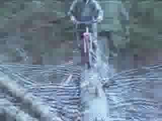 Must Watch Video