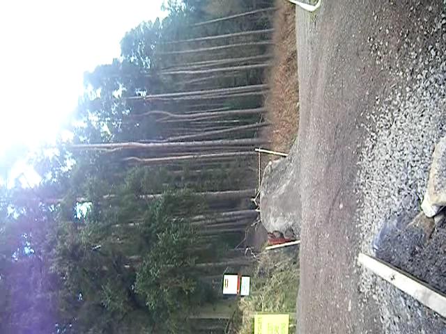 Must Watch Video