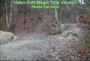 Must Watch Video