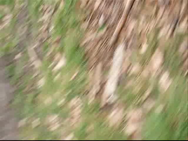 Must Watch Video