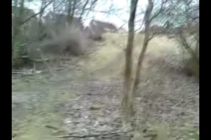 Must Watch Video