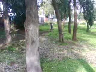 Must Watch Video