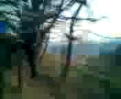 Must Watch Video