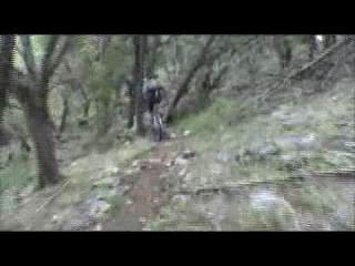 Must Watch Video