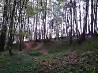 Must Watch Video