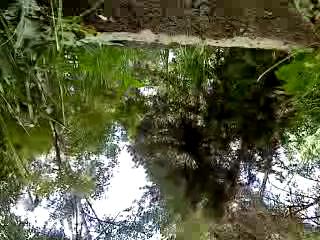 Must Watch Video