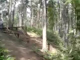 Must Watch Video