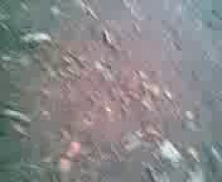 Must Watch Video