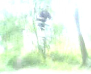 Must Watch Video