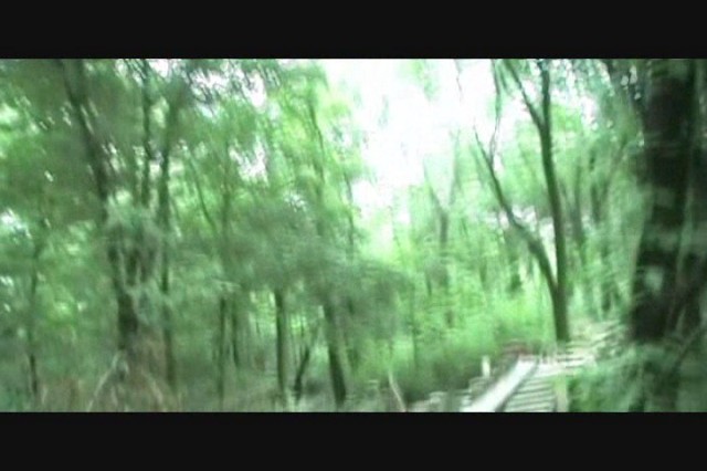 Must Watch Video
