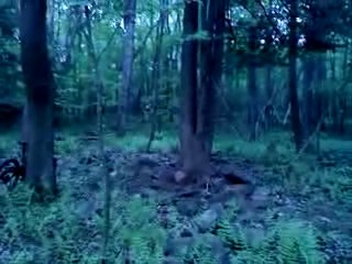 Must Watch Video