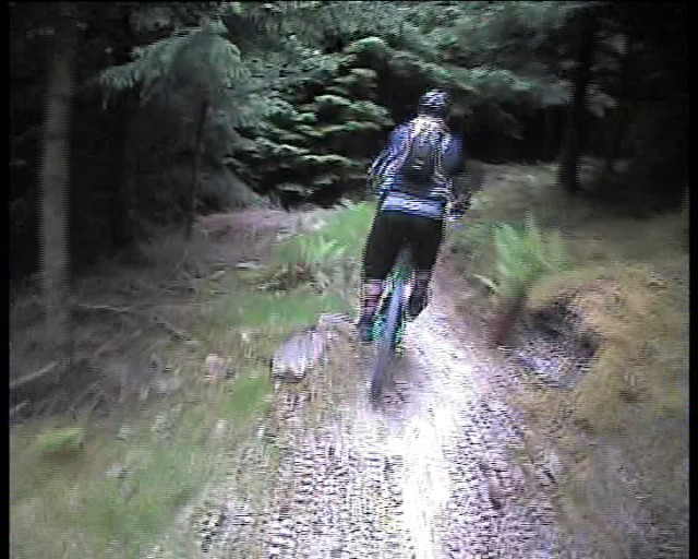 glentress black route