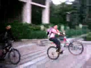 Must Watch Video