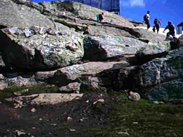 Must Watch Video