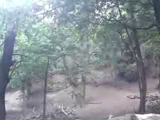 Must Watch Video
