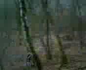 Must Watch Video