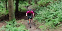 More than just another ride | Tracy Moseley's...