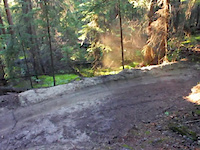CABC DH Division Team Edit