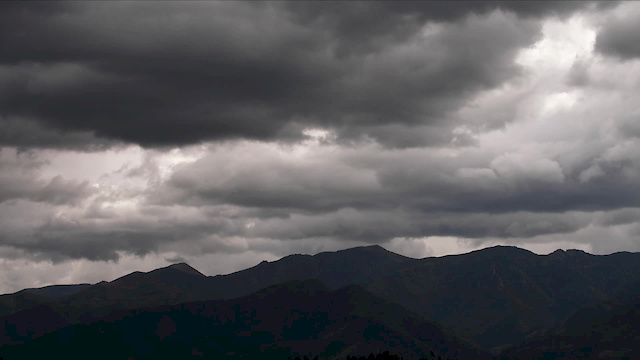 Must Watch Video