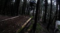 Nut Cracker - Tamihi Creek
