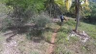 jamaica mountain biking with Zion MBA 2020