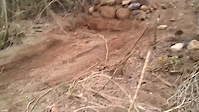 Must Watch Video