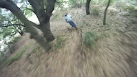 Must Watch Video