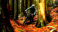 Riding Before Dark